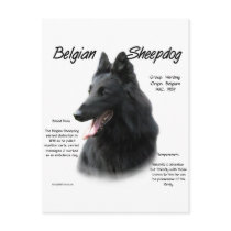 Belgian Sheepdog History Design postcards