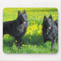 Belgian Sheepdog Mousepad mousepads