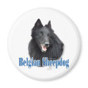 Belgian Sheepdog Name - Magnet