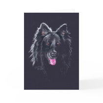 Belgian Sheepdog on Black Greeting Card