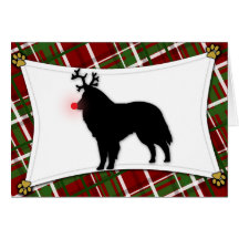 Belgian Sheepdog Reindeer Christmas Card