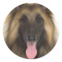 Belgian Sheperd Tervueren stickers