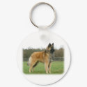 Belgian Shepherd 9Y116D-091 keychains