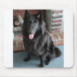 Belgian Shepherd aka "The Black Wolf" Mouse Pads