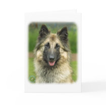 Belgian Shepherd Dog 8W51D-08 Card