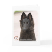 Belgian Shepherd Dog 9R096D-022 Card