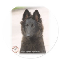 Belgian Shepherd Dog 9R096D-022 stickers
