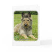 Belgian Shepherd Dog 9W002D-022 Greeting Cards
