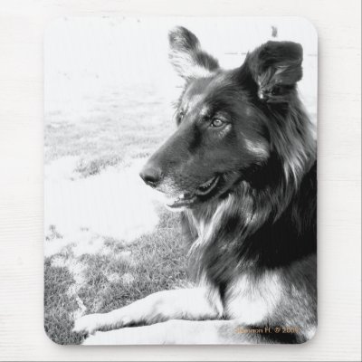 Belgian Shepherd Dog Black and White Mousepad by indolilly