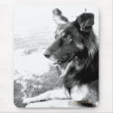 Belgian Shepherd Dog Black and White Mousepad