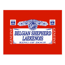 Belgian Shepherd Laekenois Post Cards