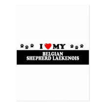 BELGIAN SHEPHERD LAKENOIS_ POST CARD
