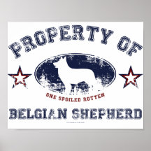 Belgian Shepherd Posters