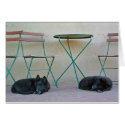 Belgian Shepherd Pups cards by sbeck44 Belgian Shepherd Pups cards