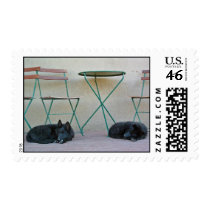 Belgian Shepherd Pups Postage