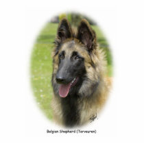 Belgian Shepherd (Terveuren) 9T85D-053 photo sculptures