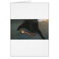 Belgian Shepherd with a Bone aka "The Black Wolf" Greeting Card