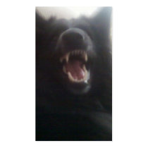 Belgian Shepherd's Teeth aka "The Black Wolf" Business Card