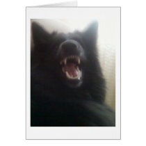 Belgian Shepherd's Teeth aka "The Black Wolf" Card