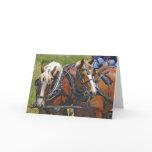 Belgian Team Greeting Cards