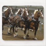 Belgian team in harness mousepad mousepad