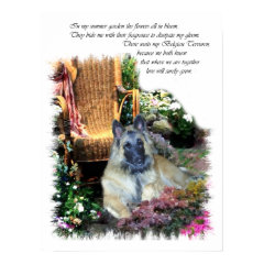 Belgian Tervuren Art Print print