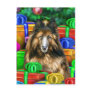 Belgian Tervuren Christmas Open Gifts Postcards