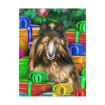 Belgian Tervuren Christmas Open Gifts postcards