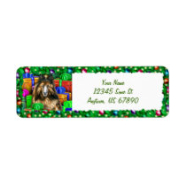 Belgian Tervuren Christmas Open Now Labels labels