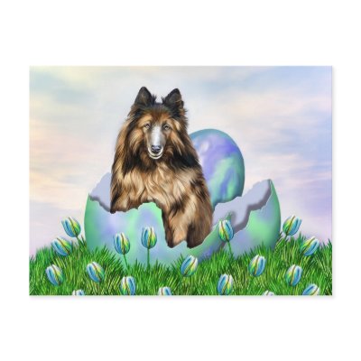 Belgian Tervuren Easter Post Cards by DanesRUs