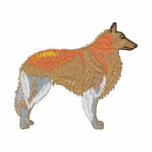 Belgian Tervuren