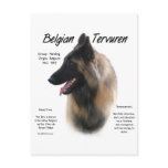 Belgian Tervuren History Design Postcard