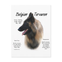 Belgian Tervuren History Design postcards