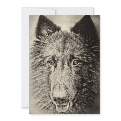 Belgian Tervuren Personalized Invite by Dog_Lovers