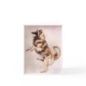 Belgian Tervuren Jump! cards by foxbrush Belgian Tervuren Jump! cards