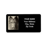 Belgian Tervuren Custom Address Label
