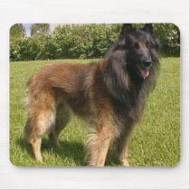 Belgian Tervuren Mousepad mousepads