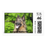 Belgian Turvuren Postage Stamp