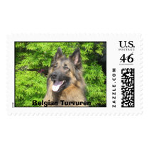 Belgian Turvuren postage