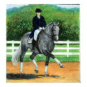 Belgian Warmblood Dressage Horse Portrait posters