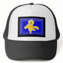Belgium-Brussels Flag hats