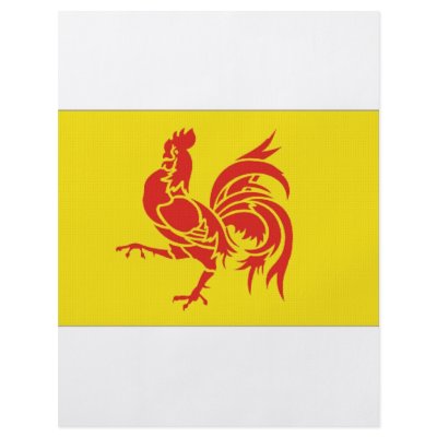 Belgium Walloon Region Flag Personalized Flyer by All_Flags