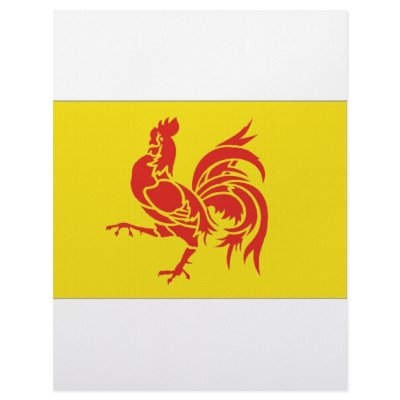Belgium Walloon Region Flag Letterhead Design by All_Flags