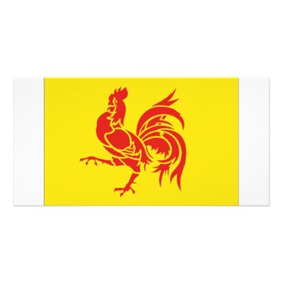 Belgium Walloon Region Flag Photo Cards by All_Flags