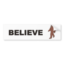 BELIEVE BUMPER STICKERS