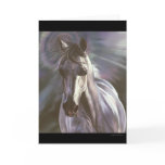 Believe Greeting Cards