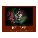 Believe, Dream Post Cards