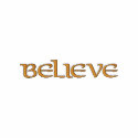 Believe Hoodie embroidered shirts