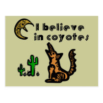 Believe in Coyotes Notes Card Post Cards