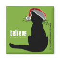 Believe in the magic... magnets